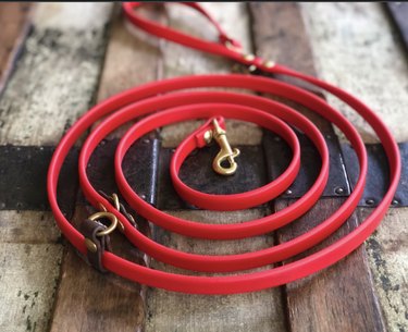 The Sunny leash in red