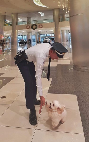 Security guard bending down to "high five" a little white dog