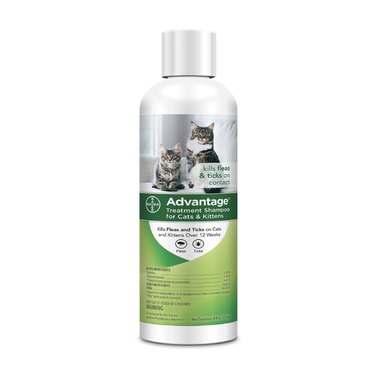 Advantage Flea and Tick Treatment Shampoo for Cats and Kittens, 8-oz. Bottle