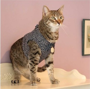 Necoichi Ninja Cotton Cat Harness