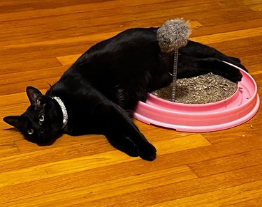 A lazy black cat is lounging on a cat toy.