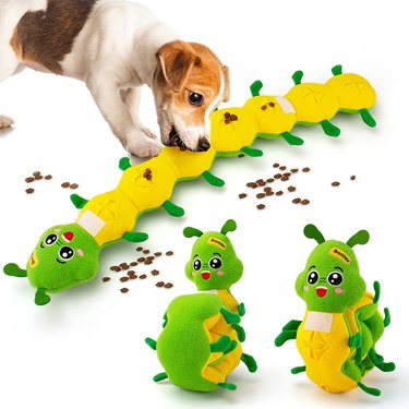 a small dog eats kibble from a caterpillar shaped snuffle toy