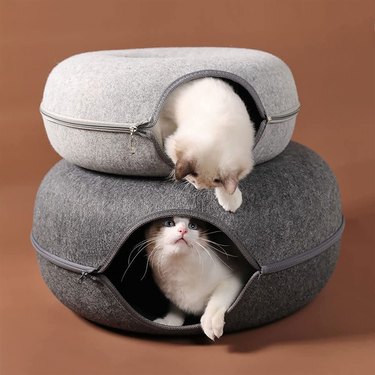 Two tunnel cat beds, one light gray and the other dark gray, stacked on top of each other with a cat in each one, swatting at each other. 