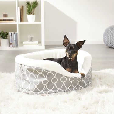Small dog sitting in a gray bolster bed with a white geometric design. There's a low entry and it's lined with sherpa fabric.
