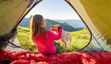 Woman and her dog camp outside