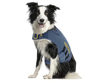 CozyVest 3-in-1 Anxiety Vest Music & Aromatherapy Dog Coat