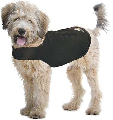 ZenPet Anxiety Vest for Dogs