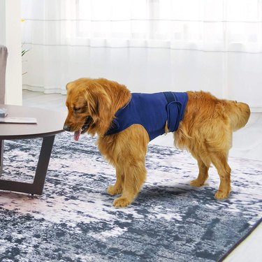 cattamao Comfort Dog Anxiety Relief Coat