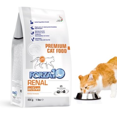 Forza10 Active Kidney Renal, Dry Cat Food for Adult Cats with Heart and Kidney Problems