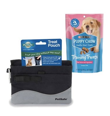 PetSafe Mini Treat Pouch, Black and Puppy Chow Healthy Start Salmon Flavor Training Dog Treats