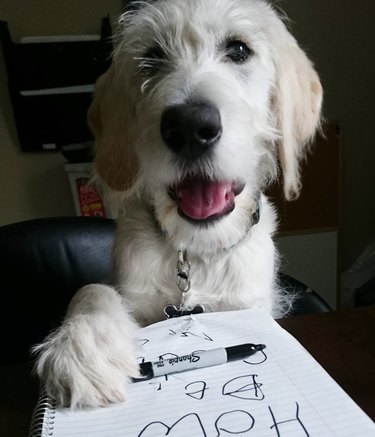 A dog with their paw on a sharpie and notebook.