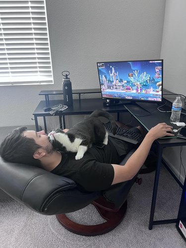 A cat is sleeping on man's chest as he plays video games.