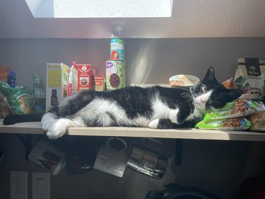 A black and white cat is sleeping on a bag of ramen noodles.