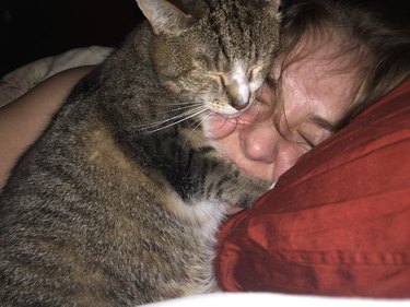 clingy cat sleeps on human's face