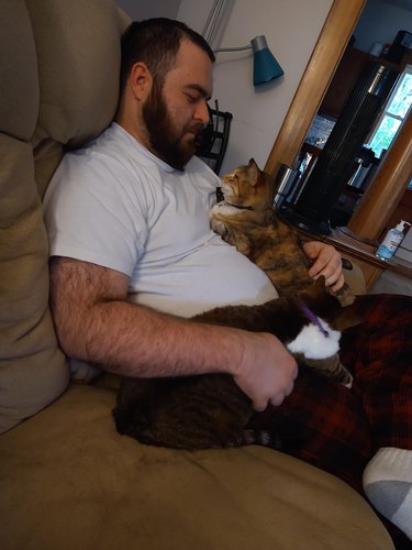 cat keeps man pinned to couh