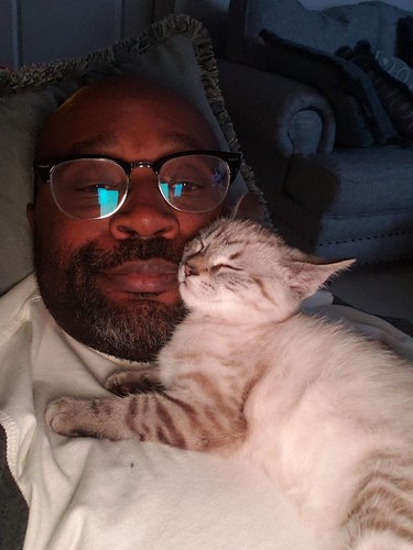 cat uses man as pillow