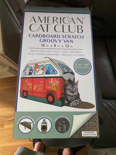 A cardboard scratch box for cats in the shape of a "groovy" van.