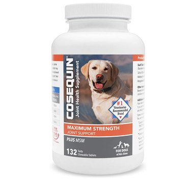 Nutramax Cosequin Maximum Strength Plus MSM Chewable Tablets Joint Supplement for Dogs, 132-Count