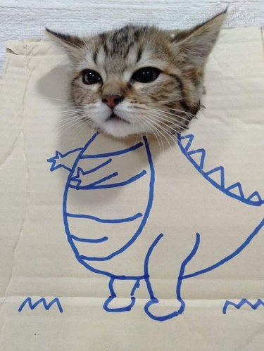 Kitten sticking its head through hole in cardboard box with a drawing of a dinosaur's body on it