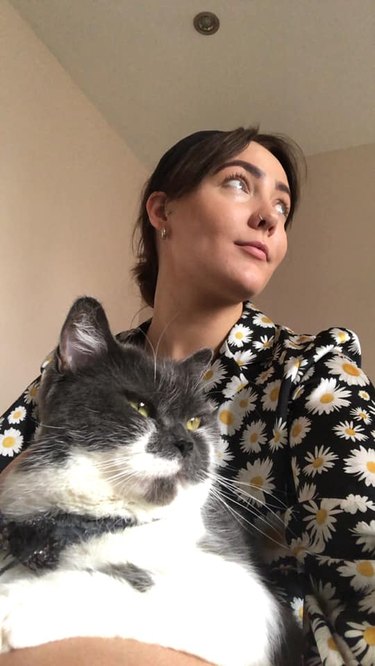 gray and white cat decides to sit in woman's lap after all