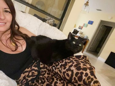 black cat jumps on woman's lap for first time ever after 9 years of living together