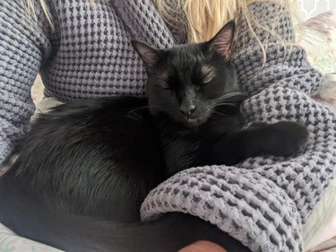 black cat sleeps on woman's lap for first time