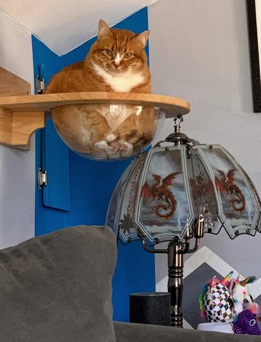 An orange cat is sitting next to a dragon lamp from an elevated dome perch.