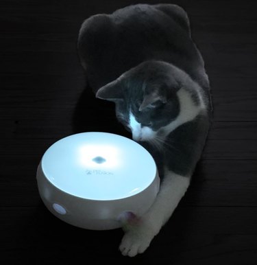 PetFusion Ambush Interactive Electronic Cat Toy