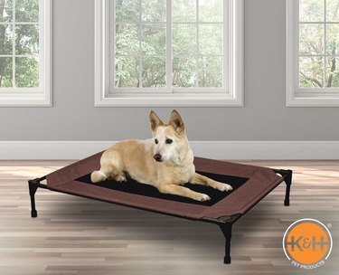 K&H Pet Products Original Pet Cot Elevated Pet Bed, Size Large