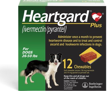 Heartgard® Plus Chew for Dogs (12-Month Supply)