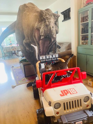 cat in jeep in front of cardboard t-rex