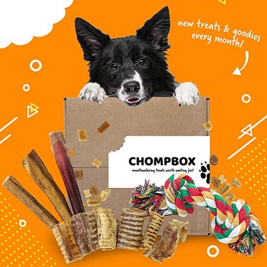 Example of a Chompbox against an orange background