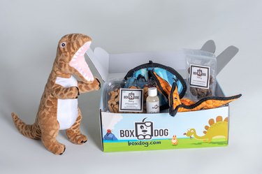 Example of a BoxDog Box with dinosaur-themed toys against a gray background.