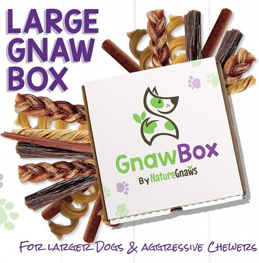 Example of a large Gnaw Box with lots of chews against a white background.