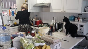 A neighbor's tuxedo cat supervises woman in kitchen.