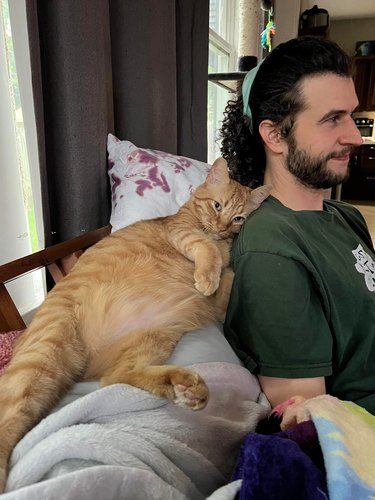 orange cat leans on man's shoulder