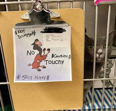 signs warns veterinarians not to touch spicy kitty