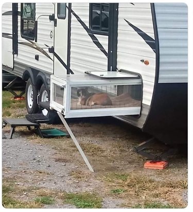 camper van with extendable catio