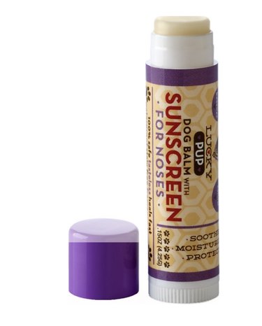 Lucky Pup Sunscreen Dog Balm with the cap off. It's the same size as a tube of lip balm and has a twist feature at the bottom so you can push up the tube when you're running low.