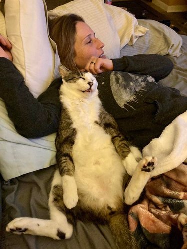 cat falls asleep on person