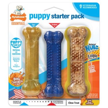 Nylabone Puppy Starter Pack