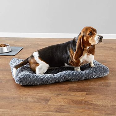 Beagle sitting on Amazon Basics Plush Pet Bed and Dog Crate Pad in size medium.