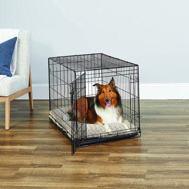 Collie dog sitting inside a New World Single Door Dog Crate, 36-Inch Model