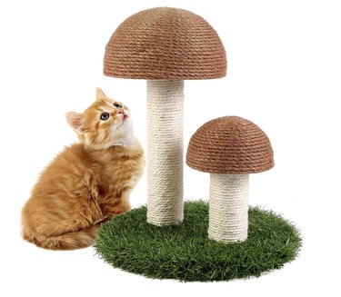 Kitting sitting next to Odoland Cat Scratching Post that resembles two mushrooms on a patch of grass.