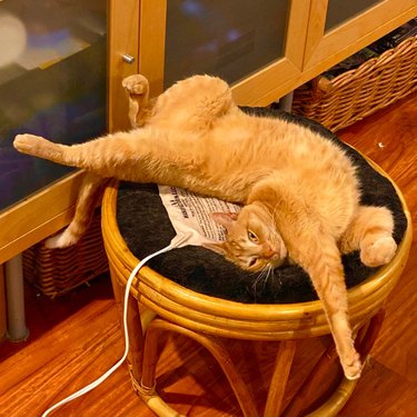 Orange cat stretched out on ottoman