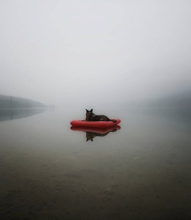 a dog on a red floatie in the middle of a river.
