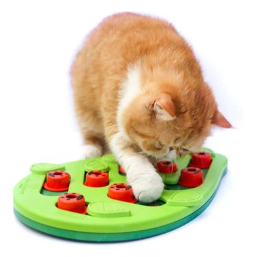 An orange cat using a Petstages Buggin' Out Puzzle & Play Cat Toy to retrieve food slowly through work and concentration