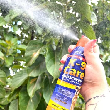 A hand holding and spraying a bottle of K-9 Care Sunscreen into the air (in a fine mist) against a leafy background.