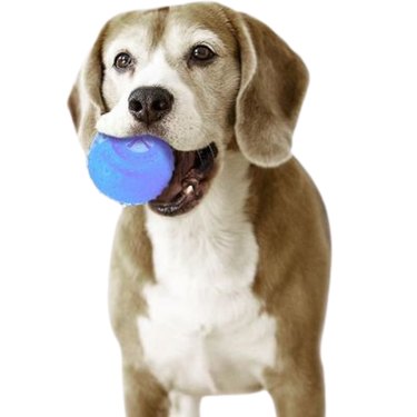 Arctic Freeze Fetch Food Cooling Teether