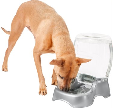 Frisco Gravity Pet Refill Waterer